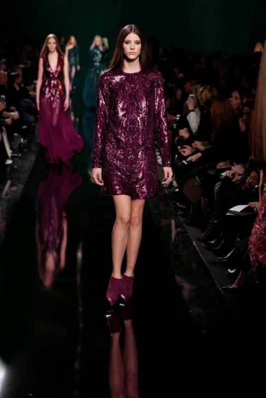 Elie Saab Autumn Winter 2014 2015 Fashion Show